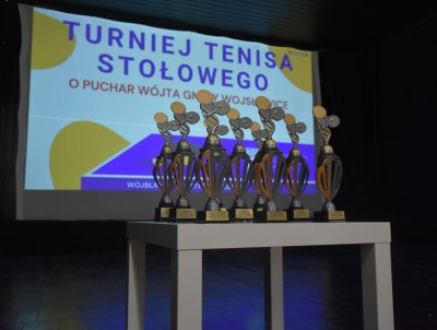 Turniej Tenisa Stołowego o Puchar Wójta Gminy Wojsławice